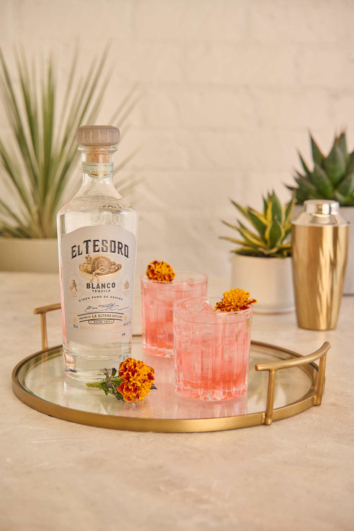 El Tesoro Tequila