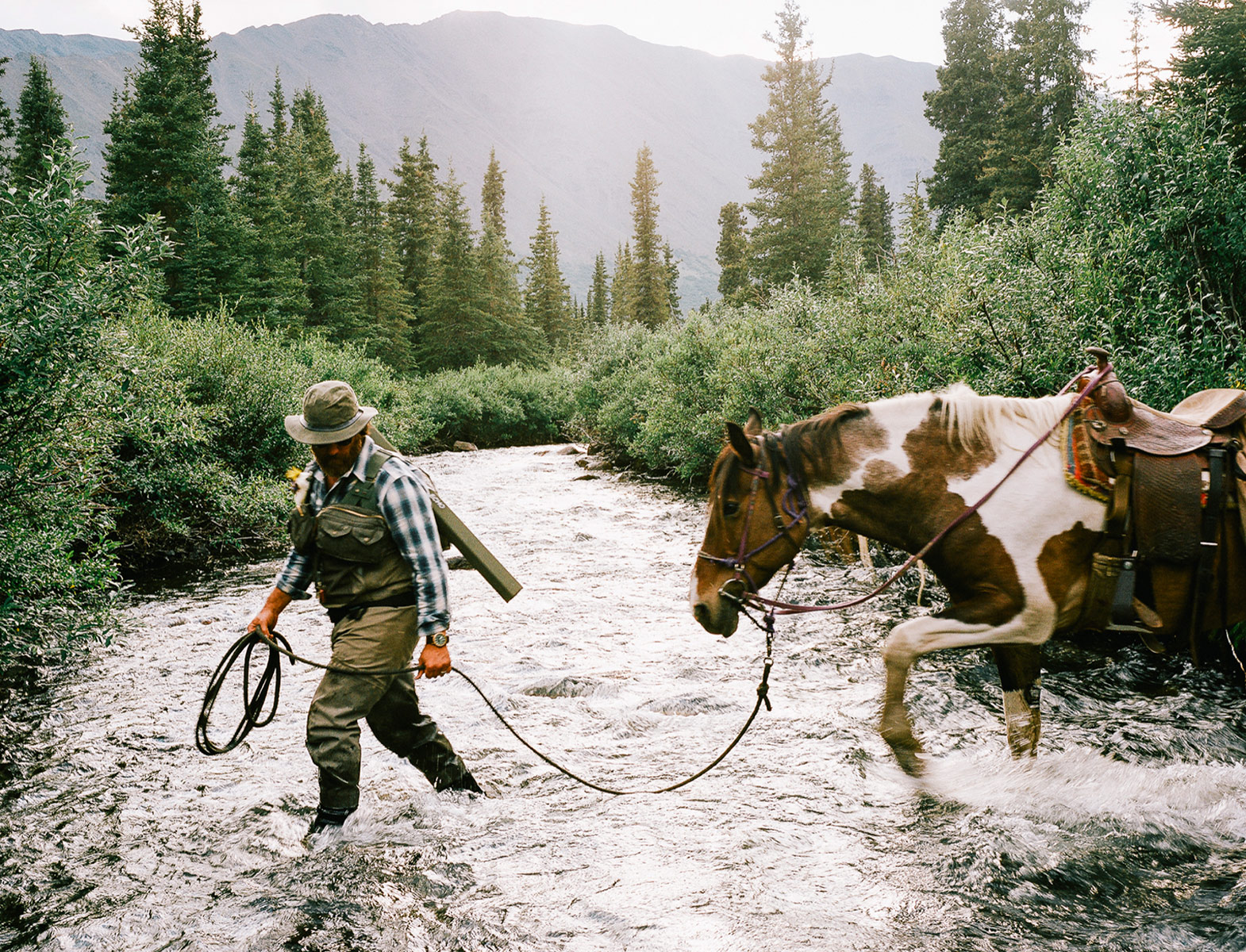 A fisherman and outdoors man take his horse across a stream in the West Coast wilderness.