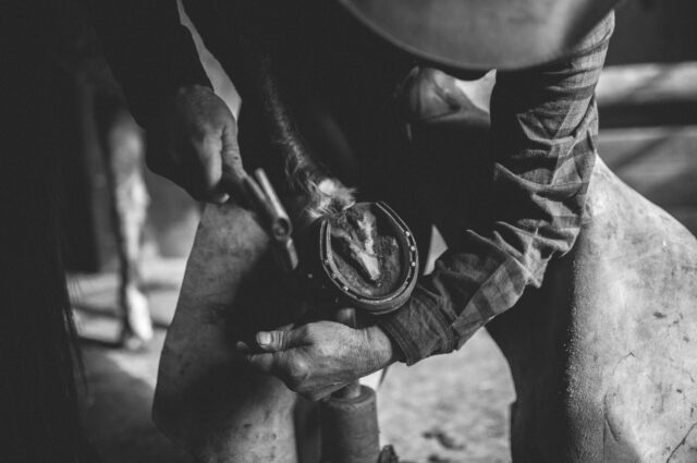A man puts new horse shoes on a horse in this black and white image by Travis Gillett.
