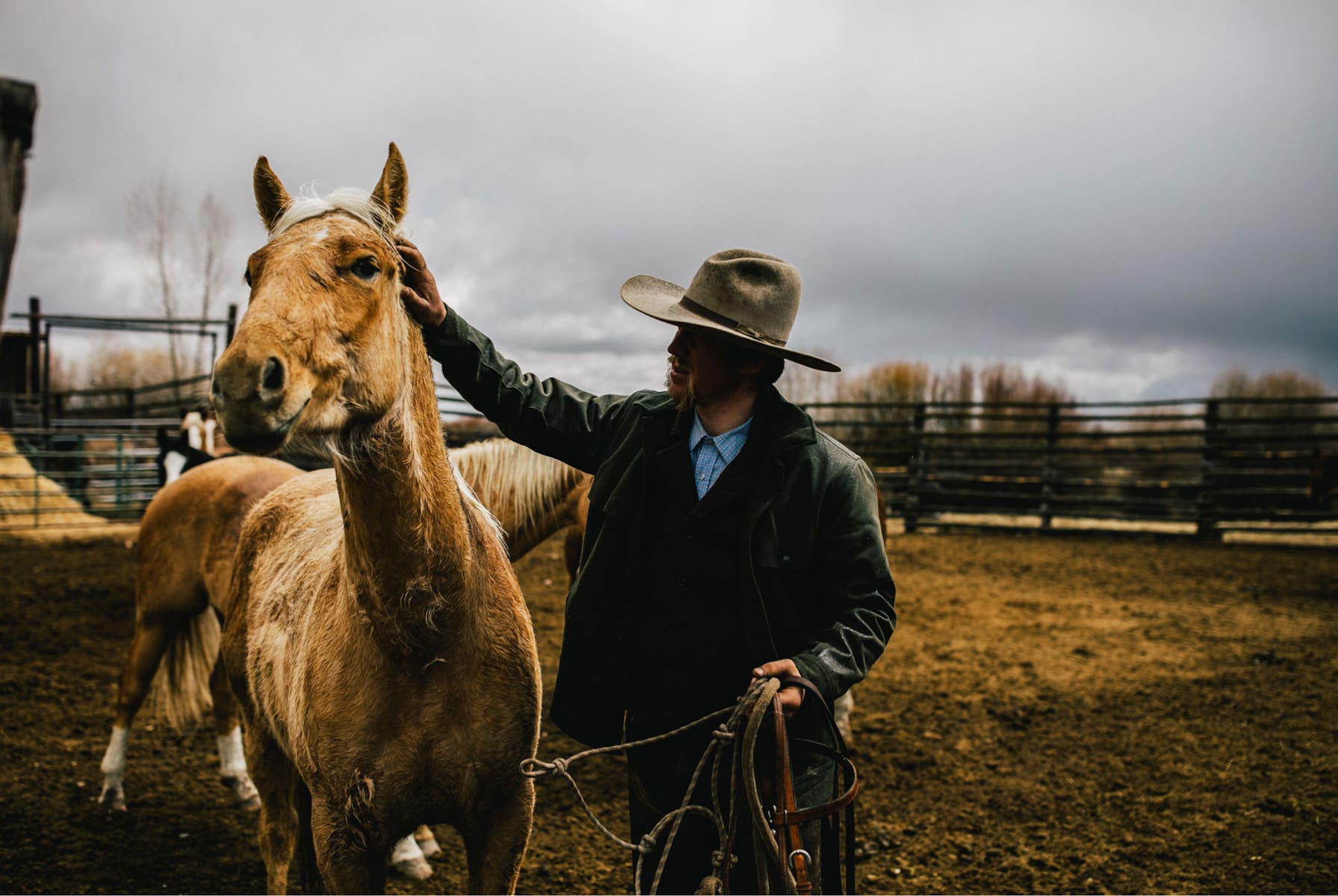 A rancher and horseman corrals his horse on the ranch.