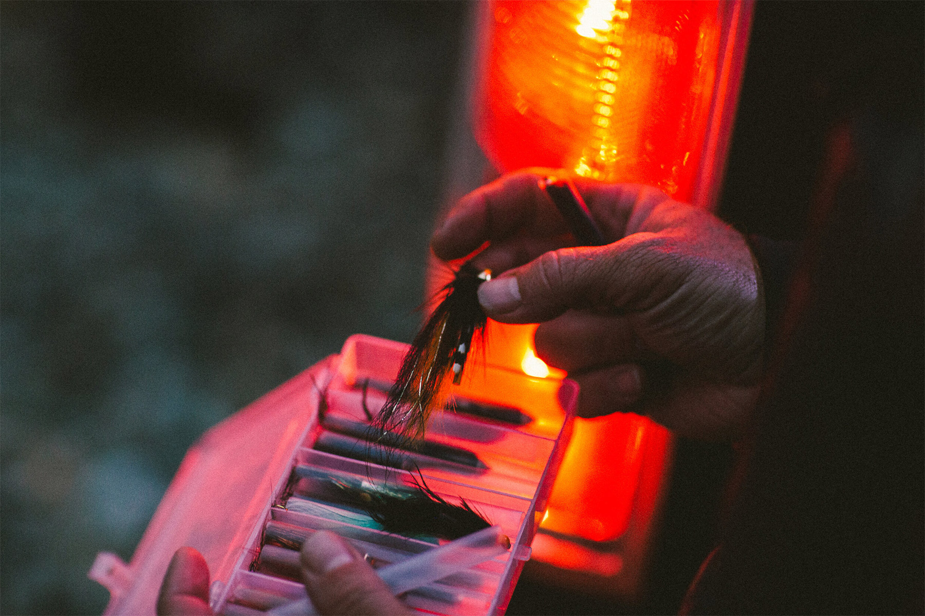 Flies for fly fishing.