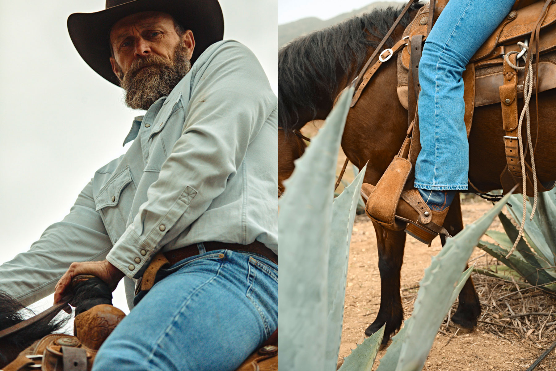 A man in a cowboy hat and light shirt rides a horse. Captured by LA photographer Travis Gillett, the left side shows his focused face; the right highlights his boots in the stirrup, horse, and agave plants in the foreground.