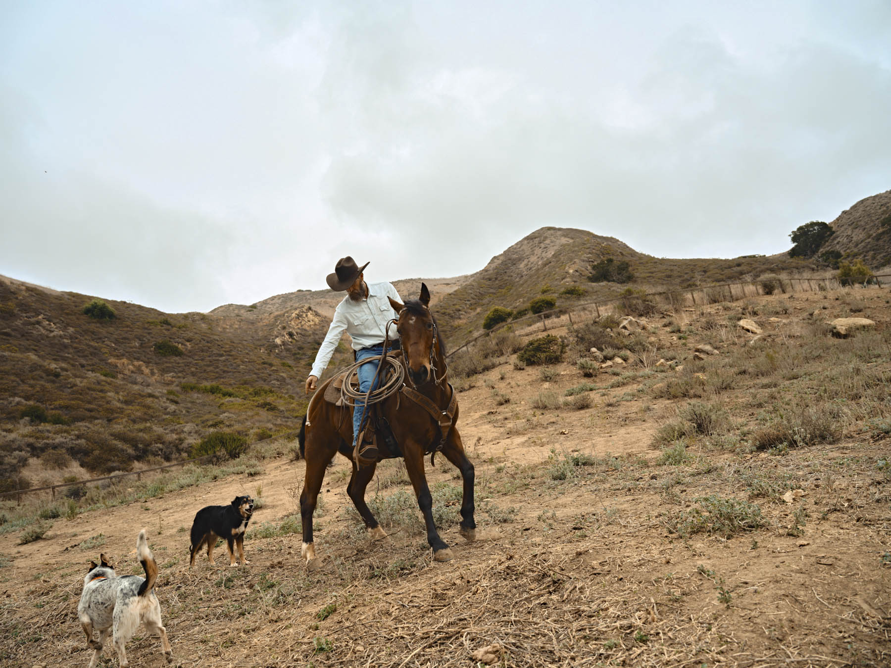 A cowboy in a hat rides a horse up a dry, grassy hill, holding the reins. Two dogs walk nearby as rugged hills rise in the background under a cloudy sky—classic workwear style inspired by Travis Gillett and Tecovas.