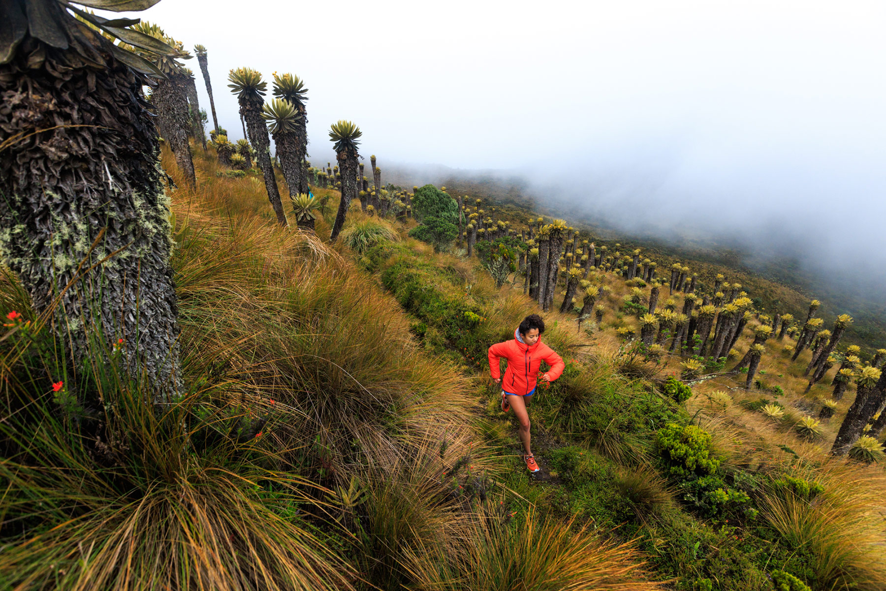 A person in a bright orange jacket from an outdoor apparel brand stands on a grassy, misty Idaho hillside surrounded by tall, spiky plants and lush vegetation, with fog obscuring the distant landscape.