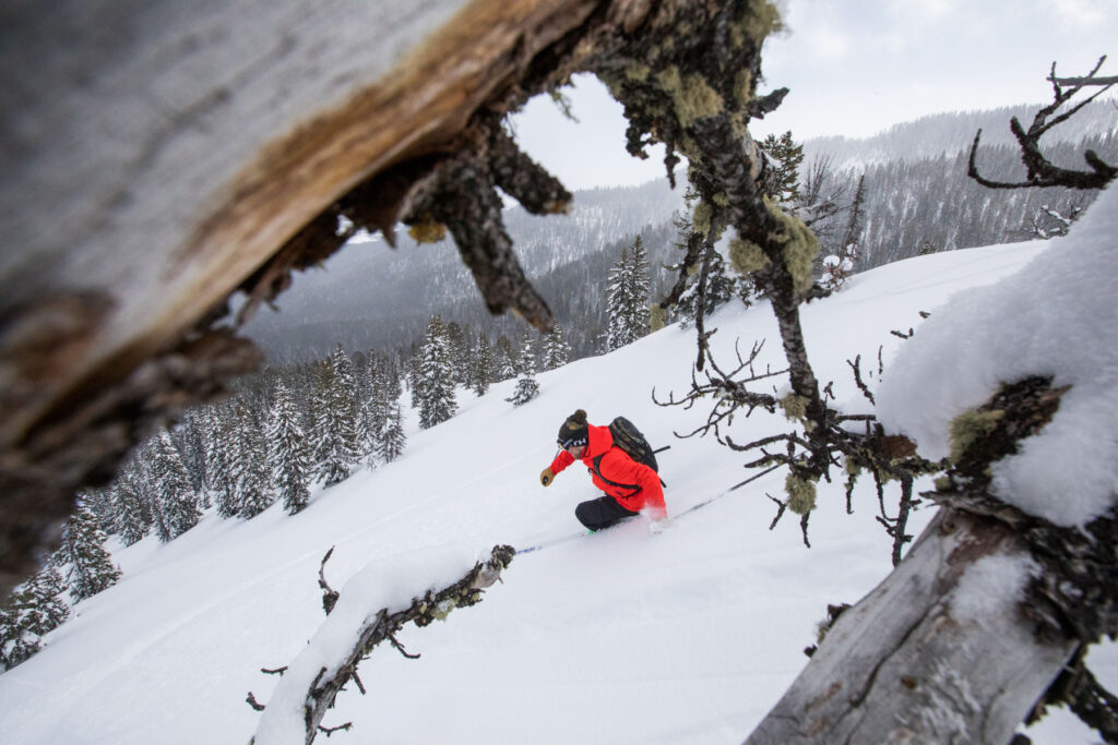 A skier in a bright red jacket glides downhill through fresh snow, framed by snow-covered tree branches, with a snowy forest and mountains in the background.