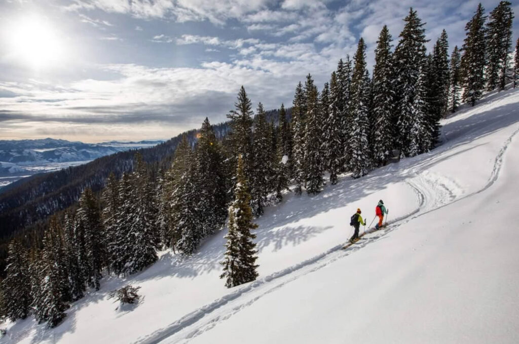 Two people ski down a snow-covered mountain slope lined with pine trees under a partly cloudy sky, with distant mountains visible in the background.